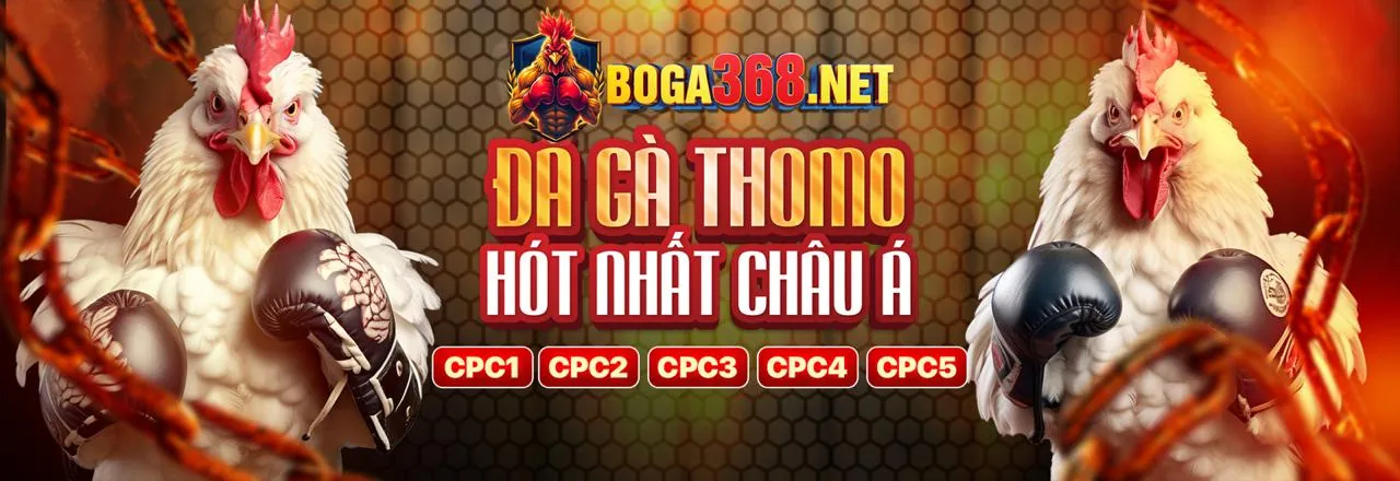 Tổng hợp các trò chơi nổi bật tại FCB8